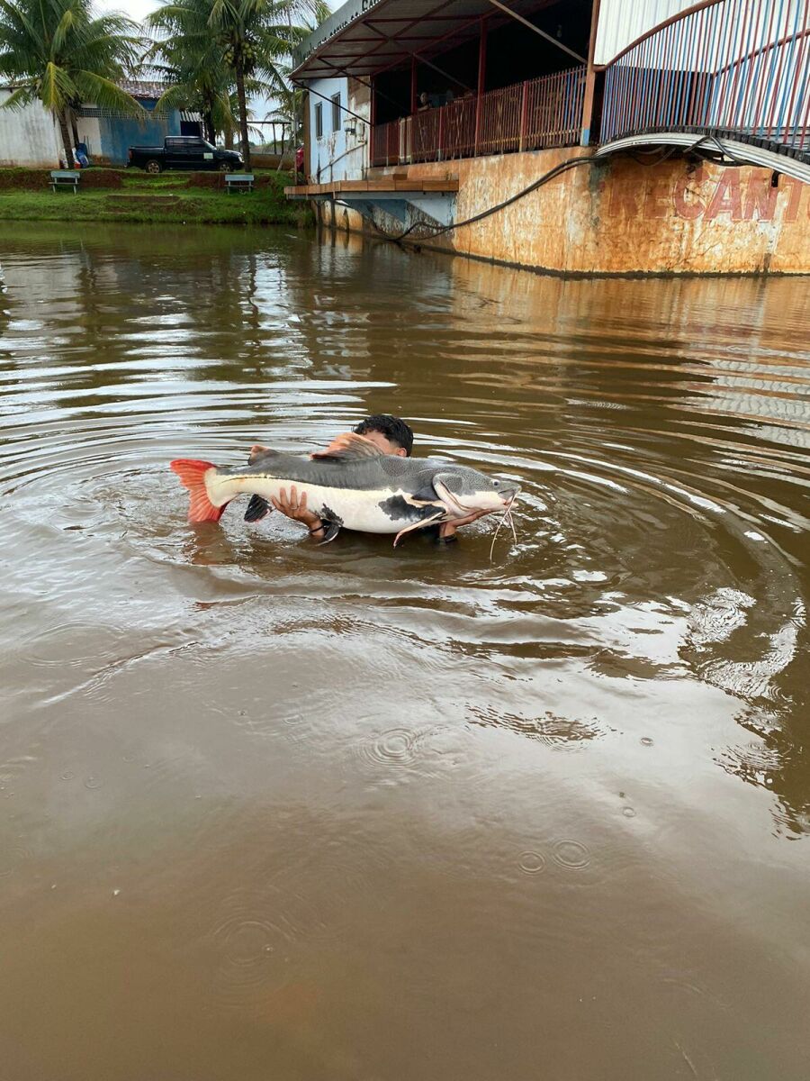 Imagem 0205 pesca 1